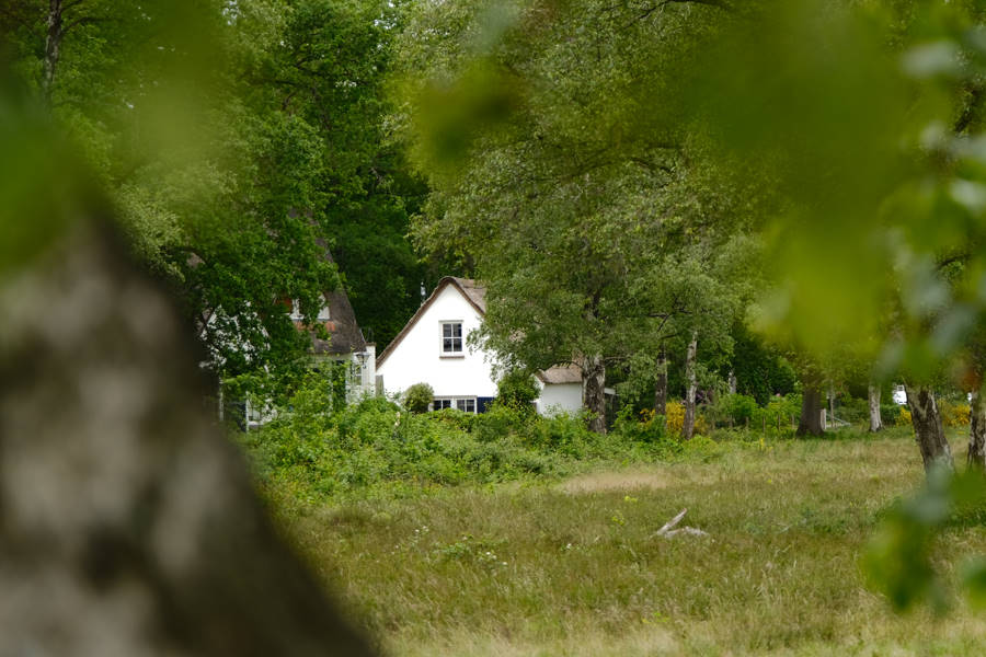 Vanuit je huis direct de natuur in - Gooiswonen.nl